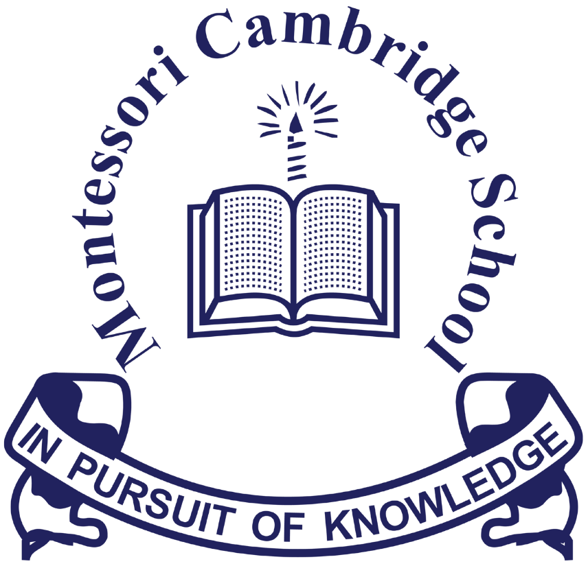 MCS Logo